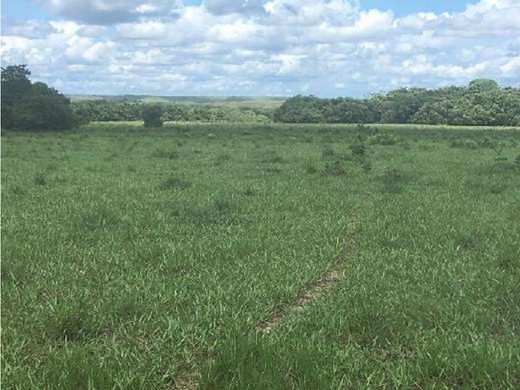 Boerderij in Puerto López, Departamento del Meta