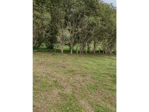 Land in Guarne, Departamento de Antioquia