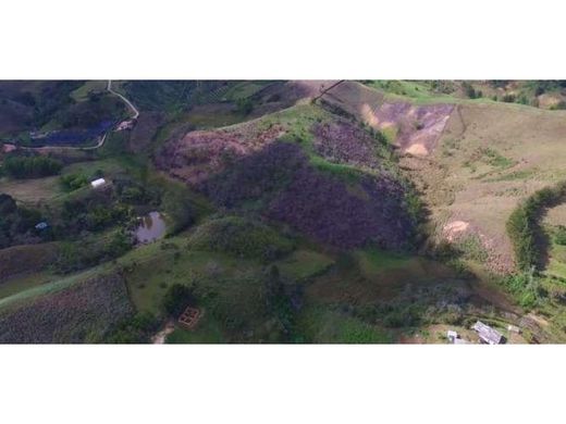 Land in Rionegro, Departamento de Antioquia