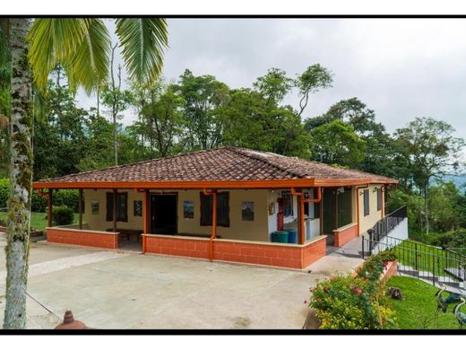 Rustik ya da çiftlik Támesis, Departamento de Antioquia