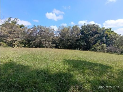 Αγροτεμάχιο σε Rionegro, Departamento de Antioquia