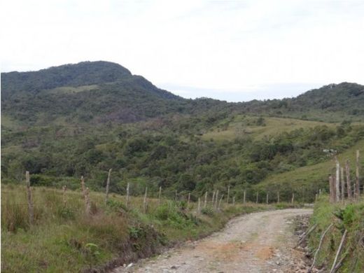 Ρουστίκ ή αγροικία σε La Unión, Departamento de Antioquia