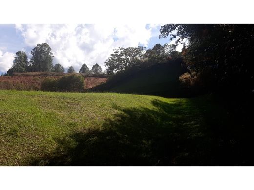 地皮  Rionegro, Departamento de Antioquia