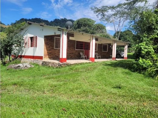 Сельский Дом, Aguazul, Departamento de Casanare