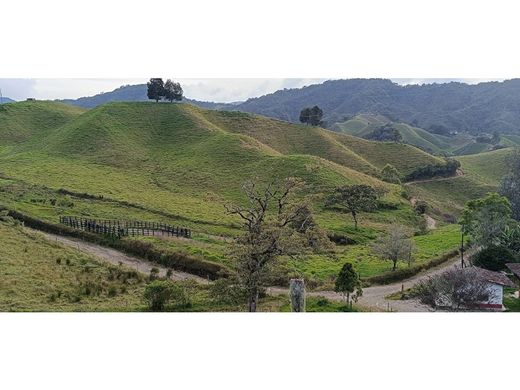 Rustykalny lub Wiejski w La Unión, Departamento de Antioquia