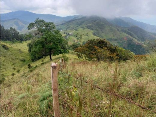 Quinta rústica - Roldanillo, Departamento del Valle del Cauca