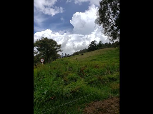 Terreno a Santa Rosa de Osos, Departamento de Antioquia