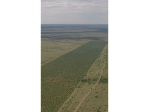 ﻣﻨﺰﻝ ﺭﻳﻔﻲ/ ﺑﻴﺖ ﻤﺰﺭﻋﺔ ﻓﻲ Puerto López, Departamento del Meta