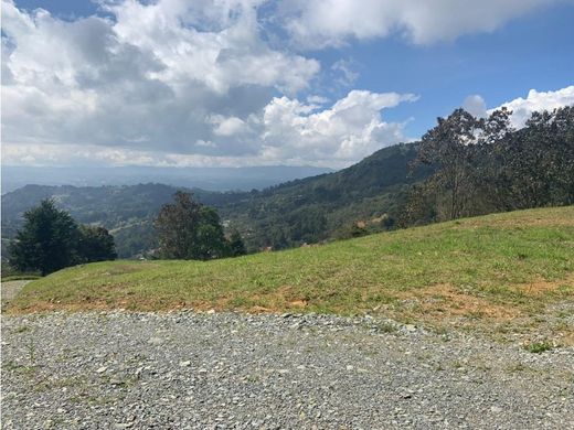 Arsa Envigado, Departamento de Antioquia