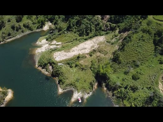 토지 / Guatapé, Departamento de Antioquia