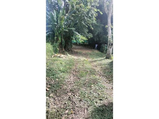 토지 / Montenegro, Quindío Department