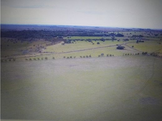 Farmhouse in Puerto Gaitán, Departamento del Meta