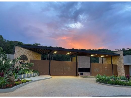 地皮  卡利, Cali