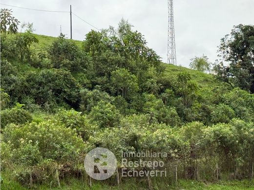Manizales, Departamento de Caldasの土地
