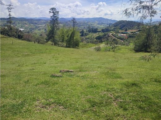 Terreno a Santuario, El Santuario
