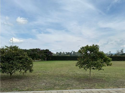 Grond in Rionegro, Departamento de Antioquia