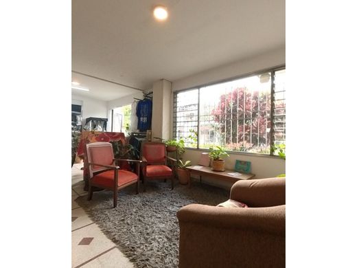 호화 저택 / 메데인, Medellín