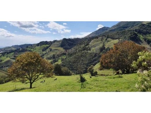 ﻣﻨﺰﻝ ﺭﻳﻔﻲ/ ﺑﻴﺖ ﻤﺰﺭﻋﺔ ﻓﻲ Abejorral, Departamento de Antioquia