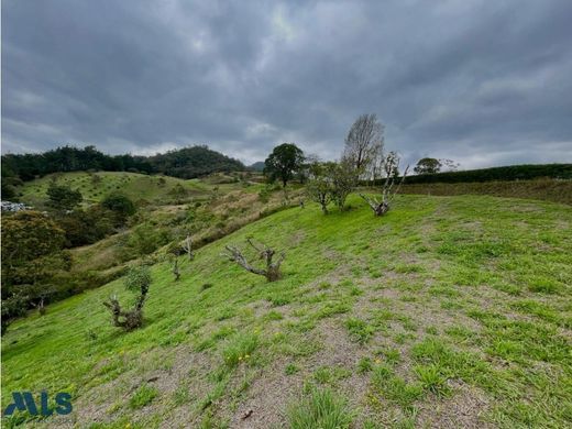 Grundstück in Rionegro, Departamento de Antioquia