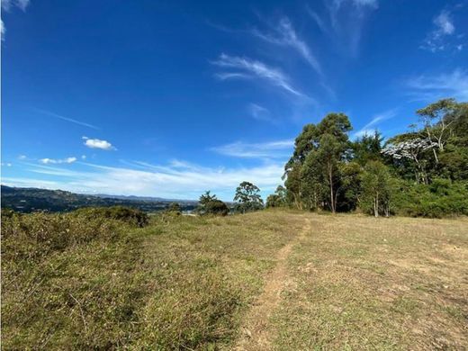 Teren w Rionegro, Departamento de Antioquia