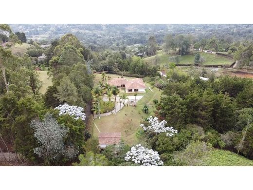 Rustik ya da çiftlik Rionegro, Departamento de Antioquia