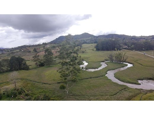 Πολυτελή κατοικία σε Rionegro, Departamento de Antioquia