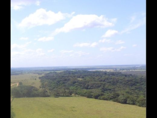 Arsa Puerto López, Departamento del Meta