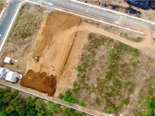 Cali, Departamento del Valle del Caucaの土地