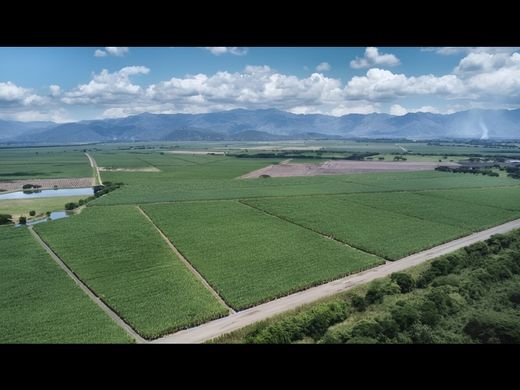 Land in Zarzal, Departamento del Valle del Cauca