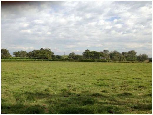 Terrain à Jamundí, Departamento del Valle del Cauca