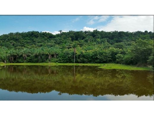 Puerto Salgar, Departamento de Cundinamarcaの土地
