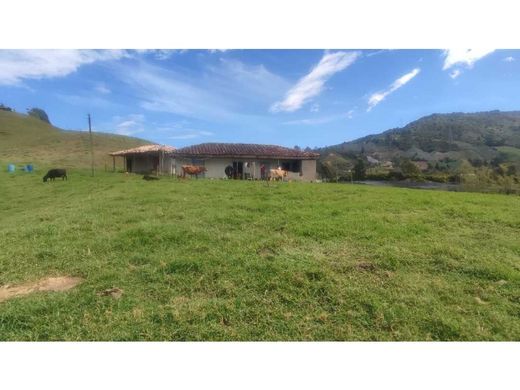 Farmhouse in Carmen de Viboral, El Carmen de Viboral
