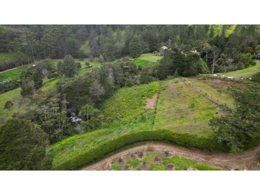 Αγροτεμάχιο σε Rionegro, Departamento de Antioquia