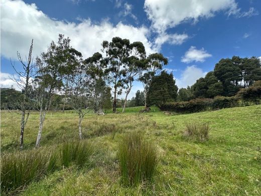 토지 / Envigado, Departamento de Antioquia