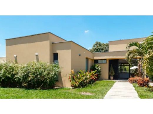 Propriété de campagne à La Tebaida, Quindío Department