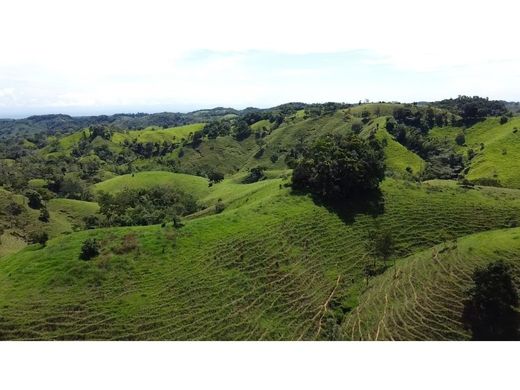 Cortijo o casa de campo en Puerto Berrío, Departamento de Antioquia