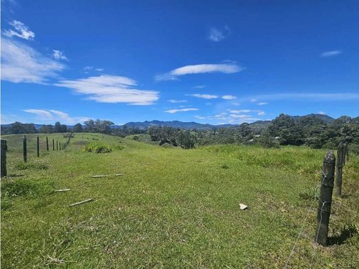 ‏קרקע ב  Envigado, Departamento de Antioquia