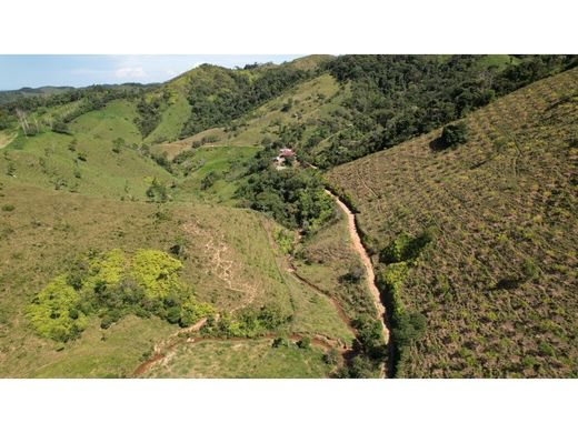 Ferme à Yalí, Departamento de Antioquia