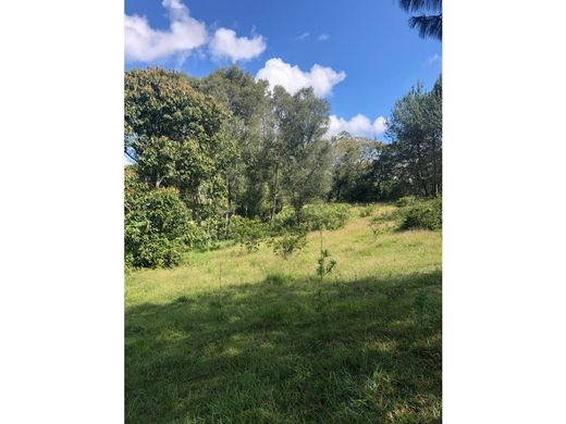 Grundstück in Rionegro, Departamento de Antioquia