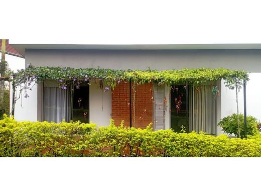 Gospodarstwo w Armenia, Quindío Department