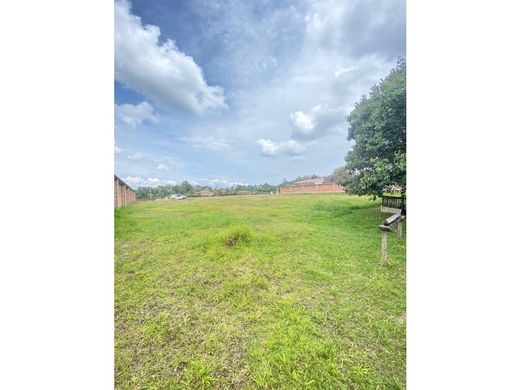 Rionegro, Departamento de Antioquiaの土地