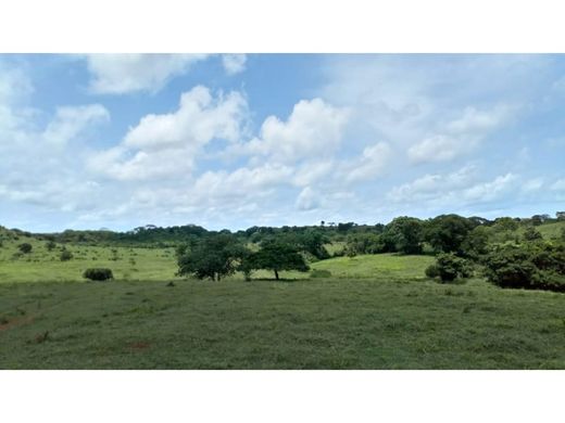 Cortijo o casa de campo en Montería, Departamento de Córdoba