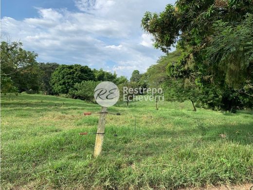 ‏קרקע ב  Palestina, Departamento de Caldas