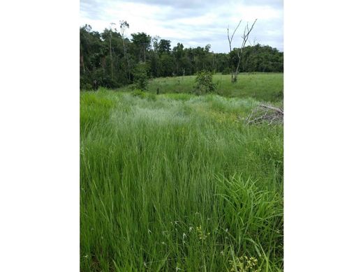 Farmhouse in Sabana de Torres, Departamento de Santander