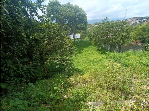 Land in Armenia, Quindío Department