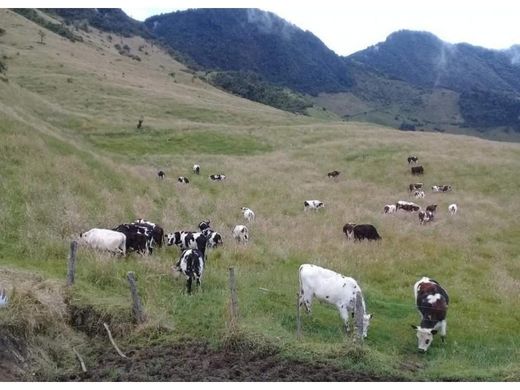 Ρουστίκ ή αγροικία σε Manizales, Departamento de Caldas