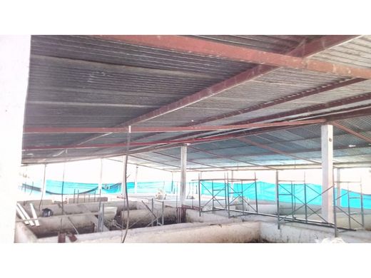 ‏בתים כפריים או חוות ב  Manizales, Departamento de Caldas