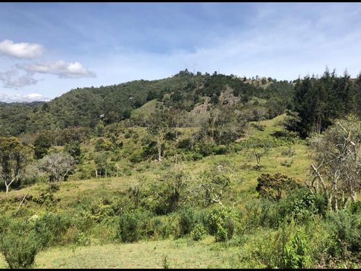 أرض ﻓﻲ Rionegro, Departamento de Antioquia