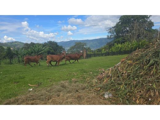 Lüks ev Copacabana, Departamento de Antioquia