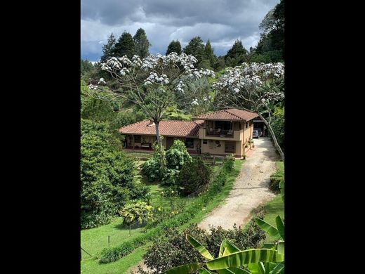 Rustik ya da çiftlik Rionegro, Departamento de Antioquia